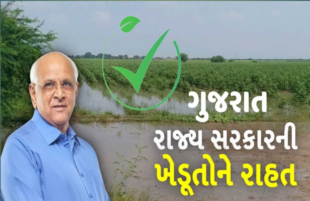 ખેડૂતો માટે રાહતનાં સમાચાર, સરકારે સહાયના ફોર્મ ભરવા માટેની તારીખ 7 દિવસ વધારાઇ